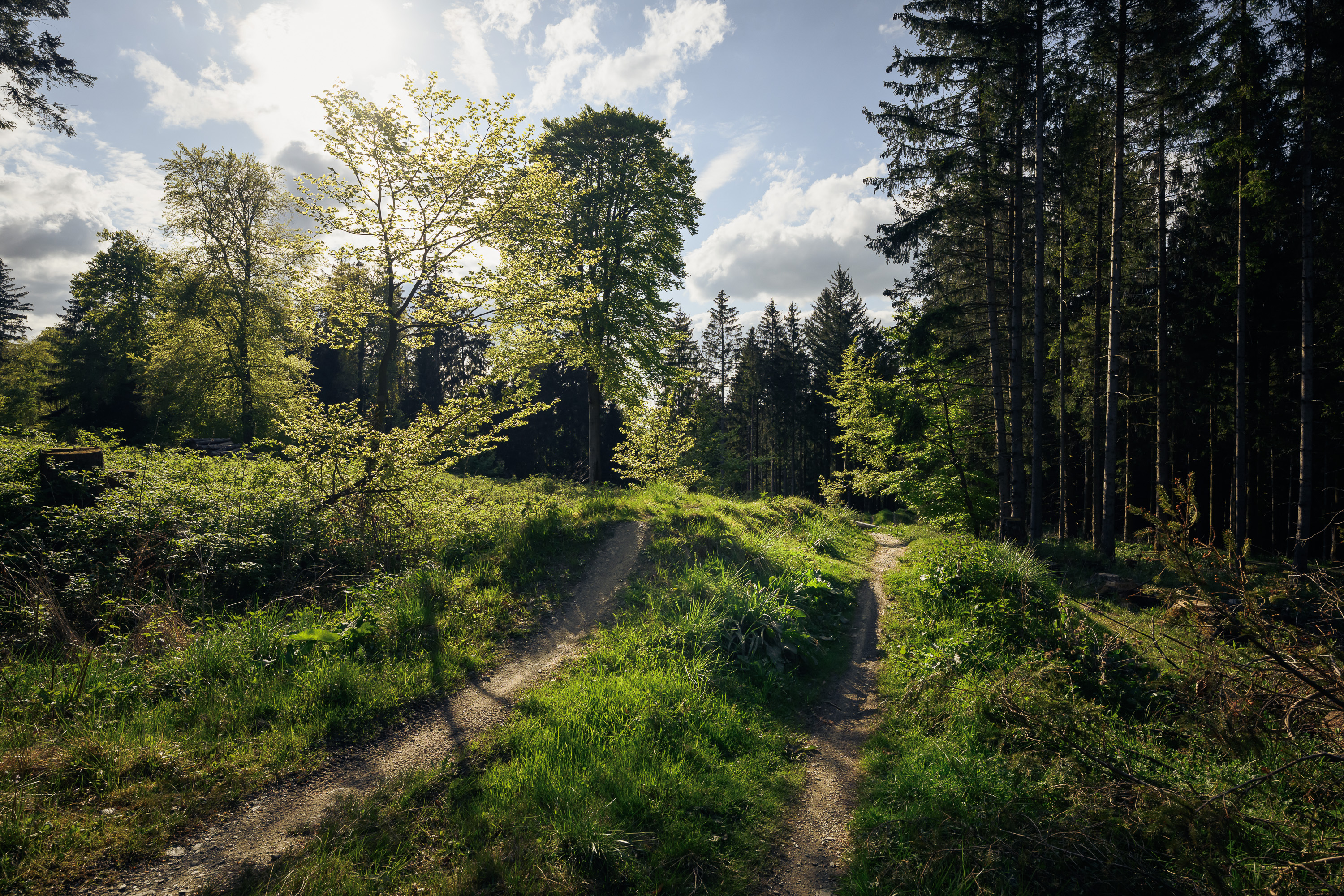 Trails Wheels over Frankfurt Radsport e. V. - Trails