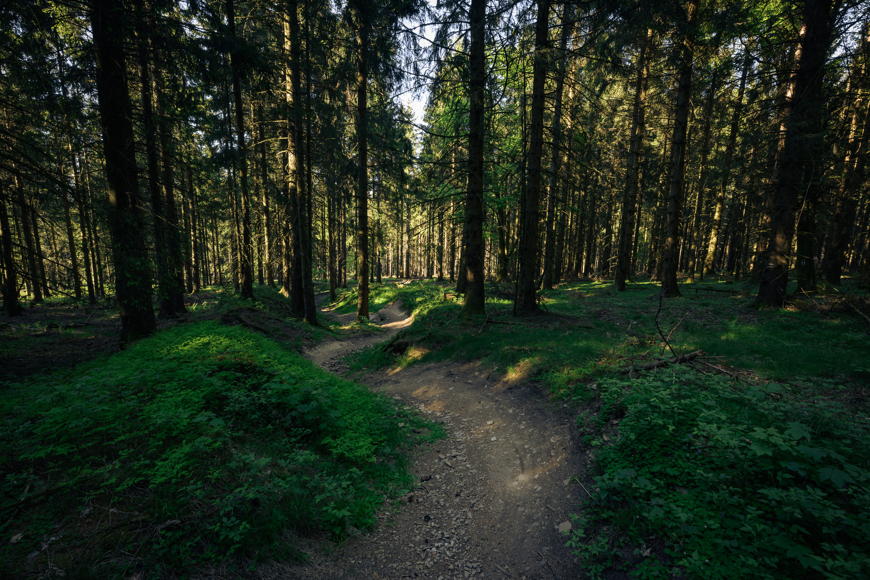 Trails Wheels over Frankfurt Radsport e. V. - Trails